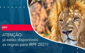 Ja Estao Disponiveis As Regras Para Irpf 2021 Organização Contábil Lawini - Escritório de Contabilidade em Uruguaiana-RS  | Guimarães Soluções Contábeis