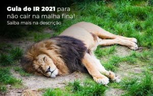 Guia Ir 2021 Para Nao Cair Na Malha Fina Saiba Mais Na Descricao Post 1 Organização Contábil Lawini - Escritório de Contabilidade em Uruguaiana-RS  | Guimarães Soluções Contábeis